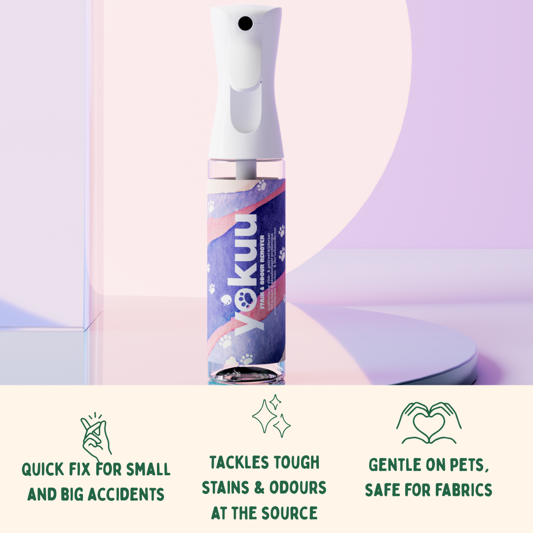 Détachant & désodorisant probiotique